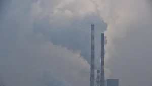 Dymiące kominy w Krakowie