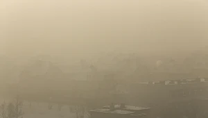 Kilka dni temu stacja pomiarowa w dzielnicy Orzepowice w Rybniku wskazała wynik 1563 µg m3. Oznacza to, że norma została przekroczona o 3126 procent