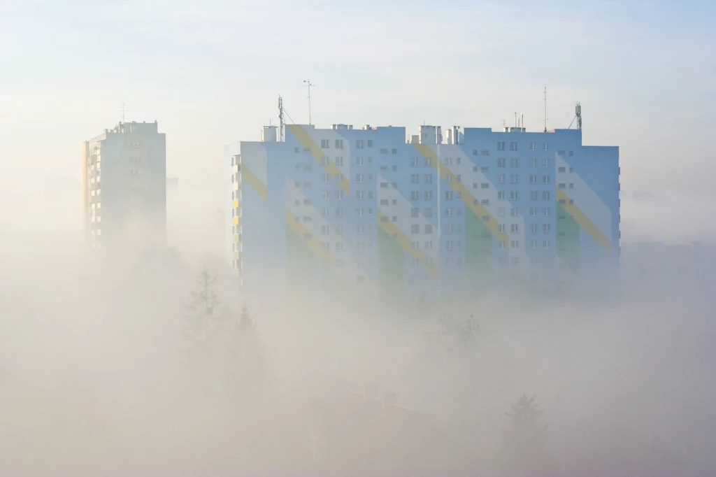 Smog zagraża życiu i zdrowiu Polaków - jak się przed nim bronić?