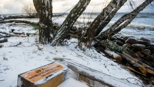 Skutki sztormu widoczne były na całym wybrzeżu. Tu na zdjęciu Gdynia Orłowo