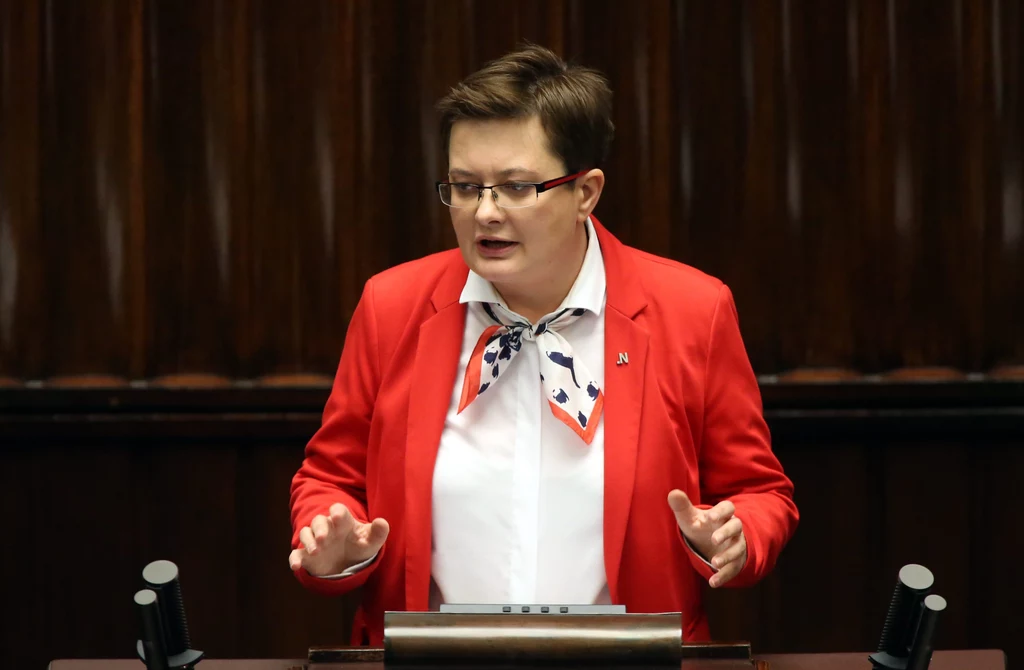 Katarzyna Lubnauer Katarzyna Lubnauer