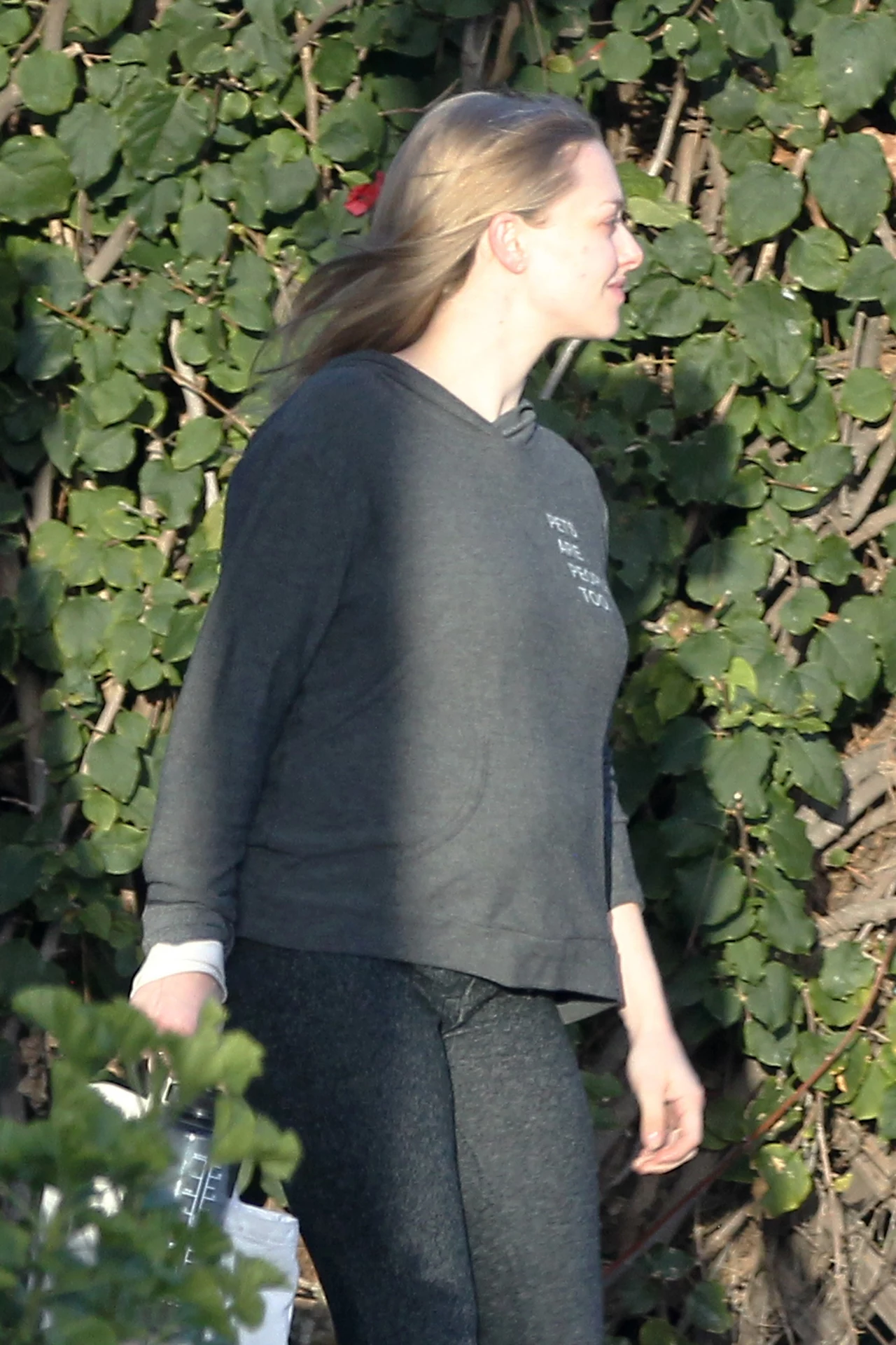 Amanda Seyfried