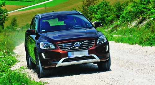 szutrówka szutrówka