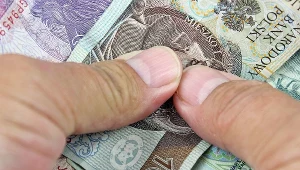 W czerwcu 2024 r. mediana wynagrodzeń miesięcznych brutto w gospodarce narodowej była niższa o 19,2 proc. od przeciętnego miesięcznego wynagrodzenia brutto - podał GUS