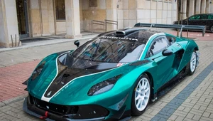 Arrinera Hussarya