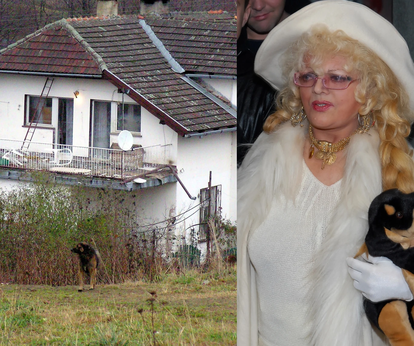 Co dalej z domem Villas? Co dalej z domem Villas?