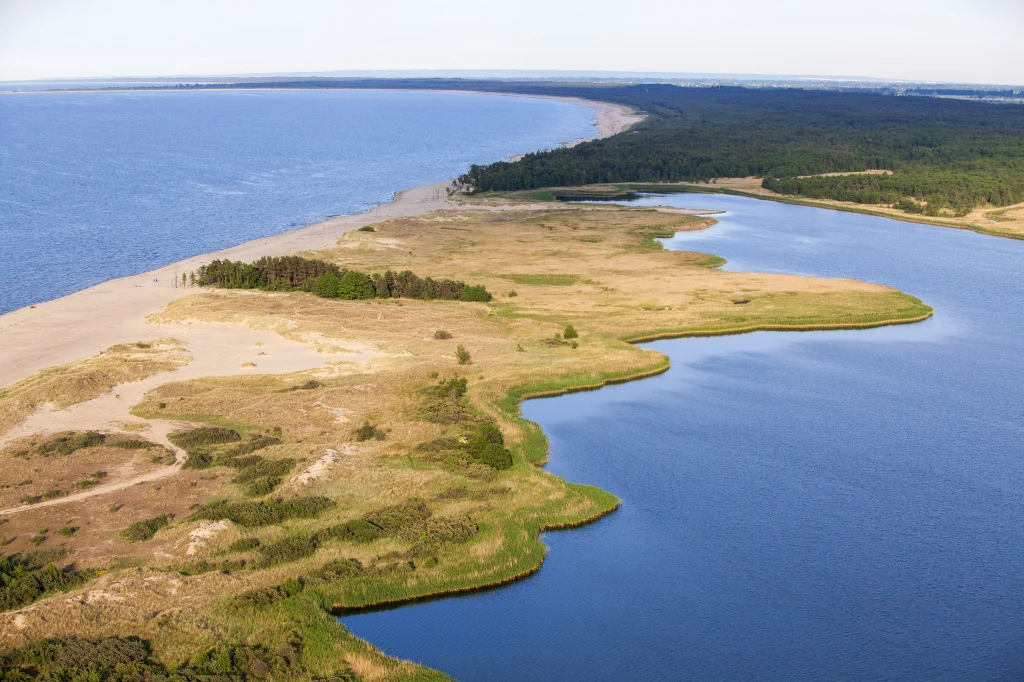 Jezioro i Rezerwat Przyrody Ptasi Raj, zdjęcie ilustracyjne Jezioro i Rezerwat Przyrody Ptasi Raj, zdjęcie ilustracyjne