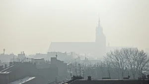 Kraków dusi się od smogu