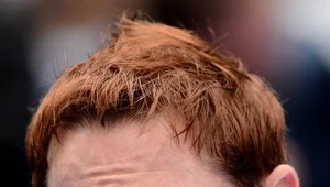 Sean Harris