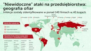 „Niewidoczne” ataki - cyberprzestępcy uderzyli w 40 krajach