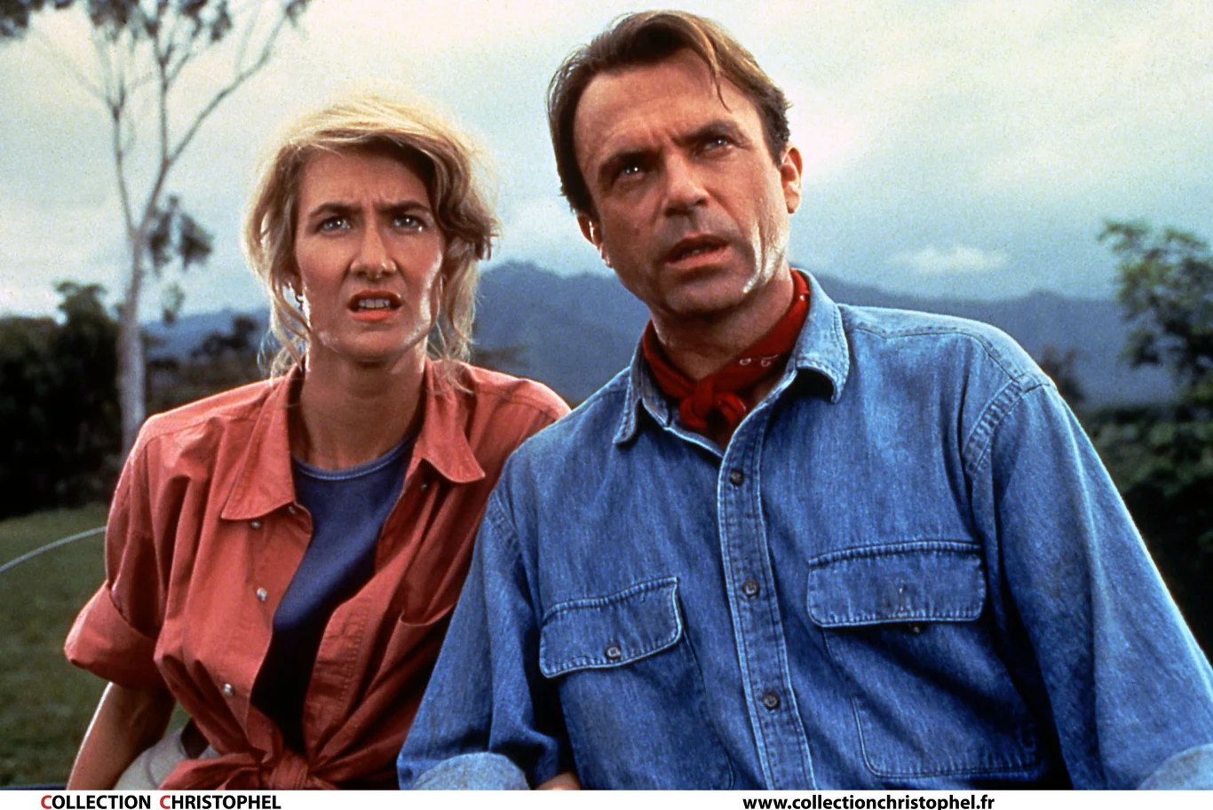 Później przyszły role w takich filmach, jak "Gładkie słówka" (1985), "Historia Rose" (1991), "Park jurajski" (1993, na zdjęciu), "Dosięgnąć kosmosu" (1999), "Sam" (2001) czy "Mistrz" (2012).

 