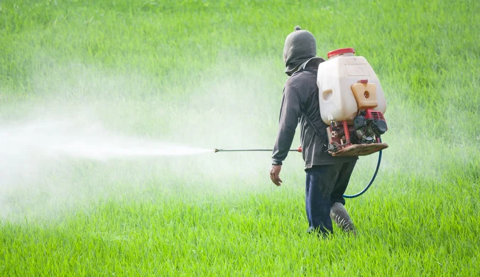 Środki ochrony roślin i chemia przemysłowa okazują się bardziej szkodliwe, niż dotychczas podejrzewano. Mogą poważnie zaburzać naszą mikrobiotę jelitową
