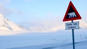 Spitsbergen: Wyjście bez karabinu grozi śmiercią