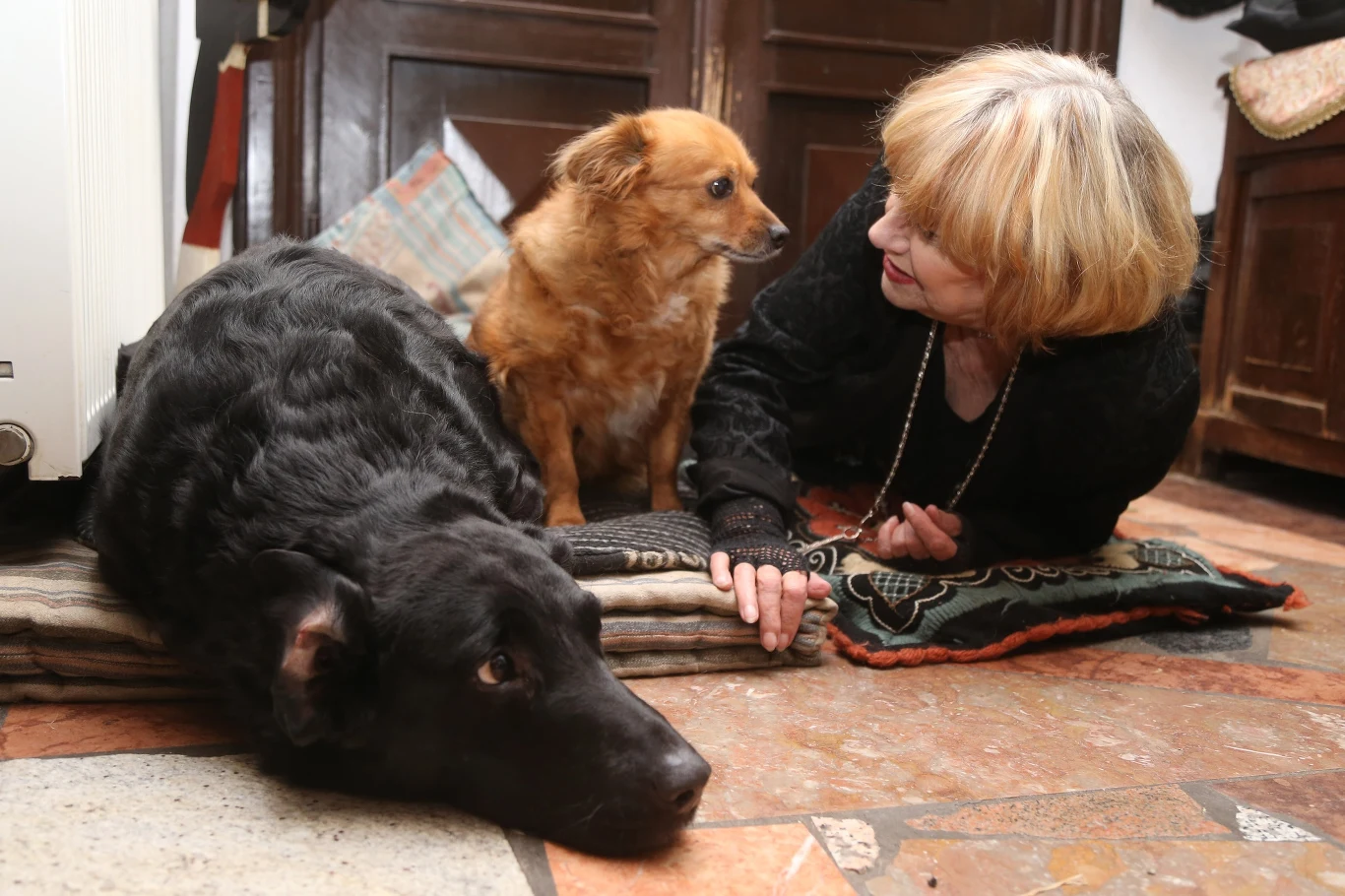 Dom Krystyny Sienkiewicz Dom Krystyny Sienkiewicz