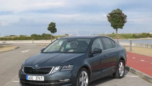 Skoda Octavia 2017. Lepszy kontakt, a do tego bezpieczniej 