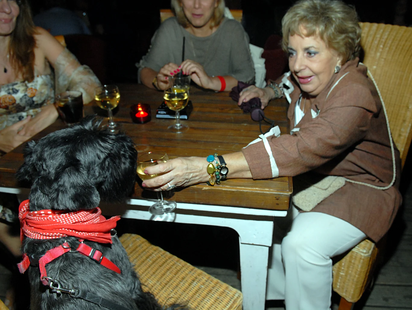 Zofia Czerwińska Zofia Czerwińska