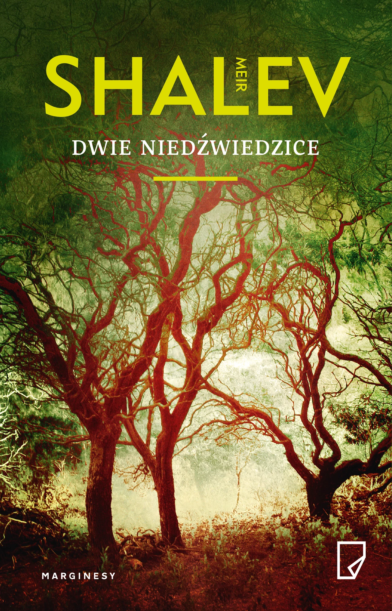 Okładka książki "Dwie niedźwiedzice" Okładka książki "Dwie niedźwiedzice"