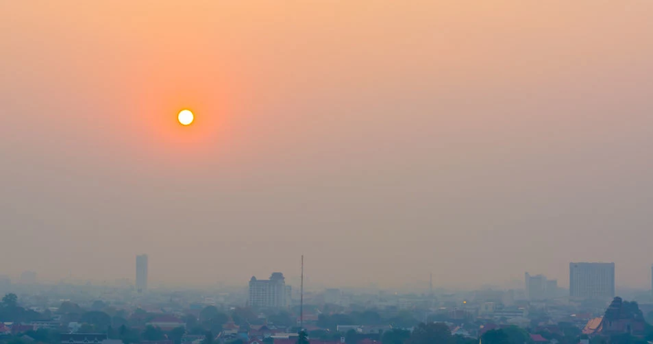 Polacy stają się bezpłodni przez smog?