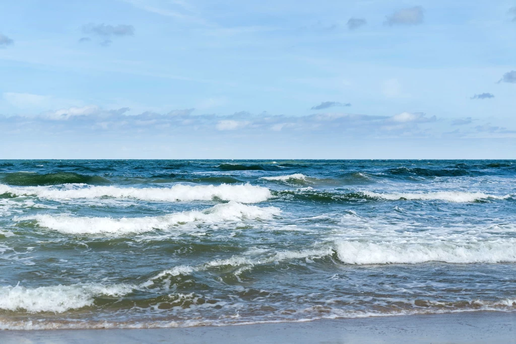 Istnieją pewne miejsca na polskim wybrzeżu, w których zwykle można liczyć na wyższe temperatury wody. Gdzie się one znajdują?

    

