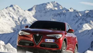 Alfa Romeo Stelvio, czyli coś lepszego niż kombi