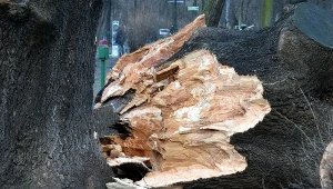 Wichury przetaczają się przez Polskę (arch.)