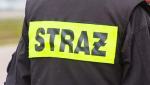 zdj. ilustracyjne