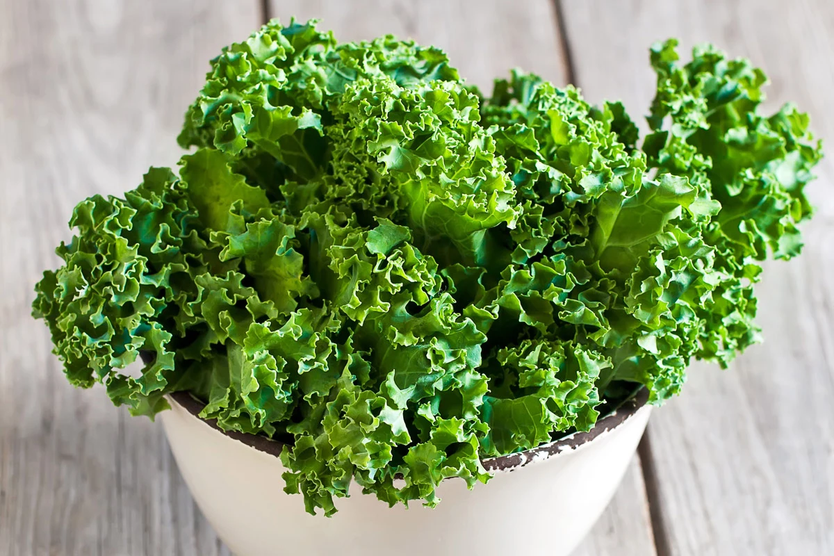 Jarmuż to cenne wsparcie dla układu odpornościowego i kostnego, a także dla wzroku