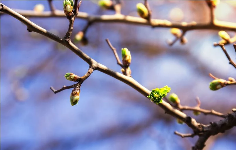 W weekend czekają nas wiosenne temperatury