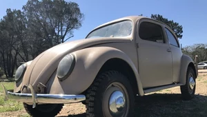 VW "Garbus" Hermana Goeringa