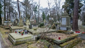 Cmentarz Rakowicki, zdj. ilustracyjne