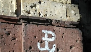 "Nie umiemy wytłumaczyć popularności tego znaku"