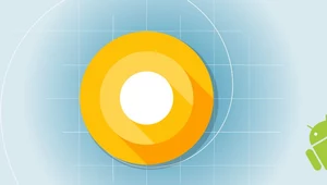 Android O już trafił na niektóre smartfony