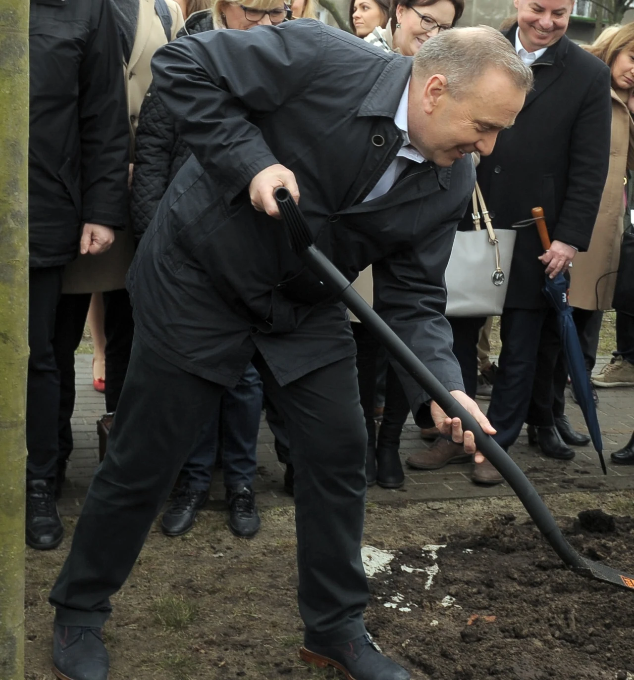 Elegancki Schetyna sadzi drzewo Elegancki Schetyna sadzi drzewo