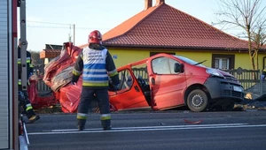 Oplem Vivaro jechało 9 osób / źródło: codziennikmlawski.pl