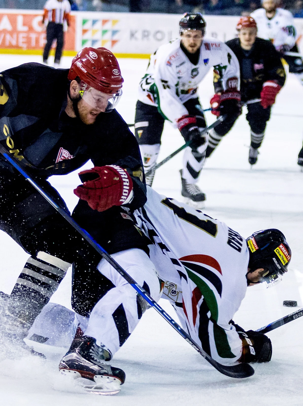 Hokeista GKS Tychy Jan Semorad (P) i Matusz Chovan Hokeista GKS Tychy Jan Semorad (P) i Matusz Chovan