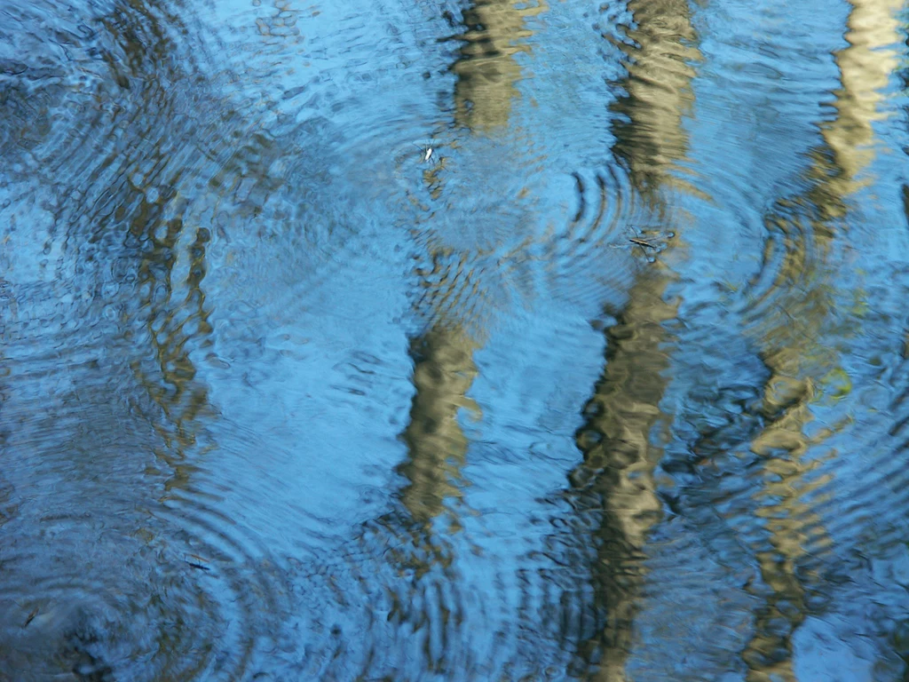 Zdjęcie pochodzi z bloga Marka Stankiewicza https://aspiphotography.wordpress.com/