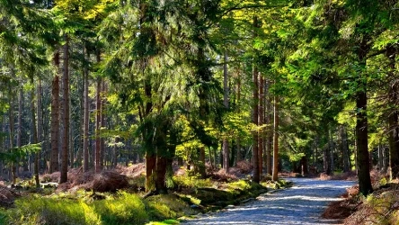 W Karkonoskim Parku Narodowym rozpoczynają się remonty, niektóre szlaki będą zamknięte