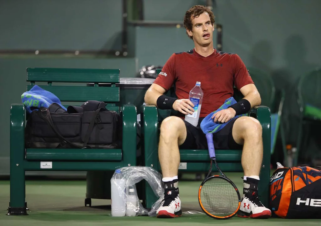 Andy Murray Andy Murray
