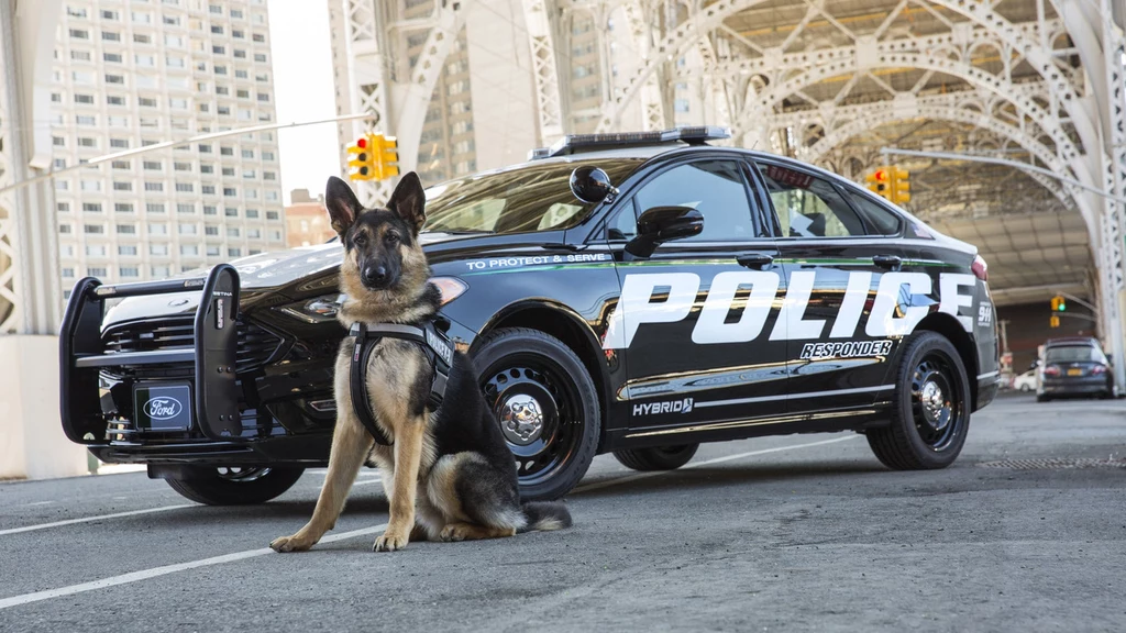 Ford Police Responder Hybrid Sedan 