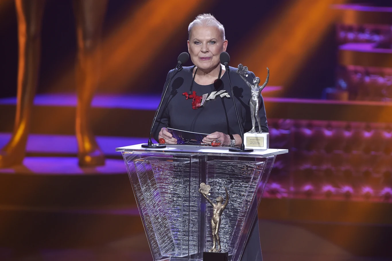 Elżbieta Dzikowska w 2016 roku wręczała Telekamerę Tele Tygodnia Elżbieta Dzikowska w 2016 roku wręczała Telekamerę Tele Tygodnia
