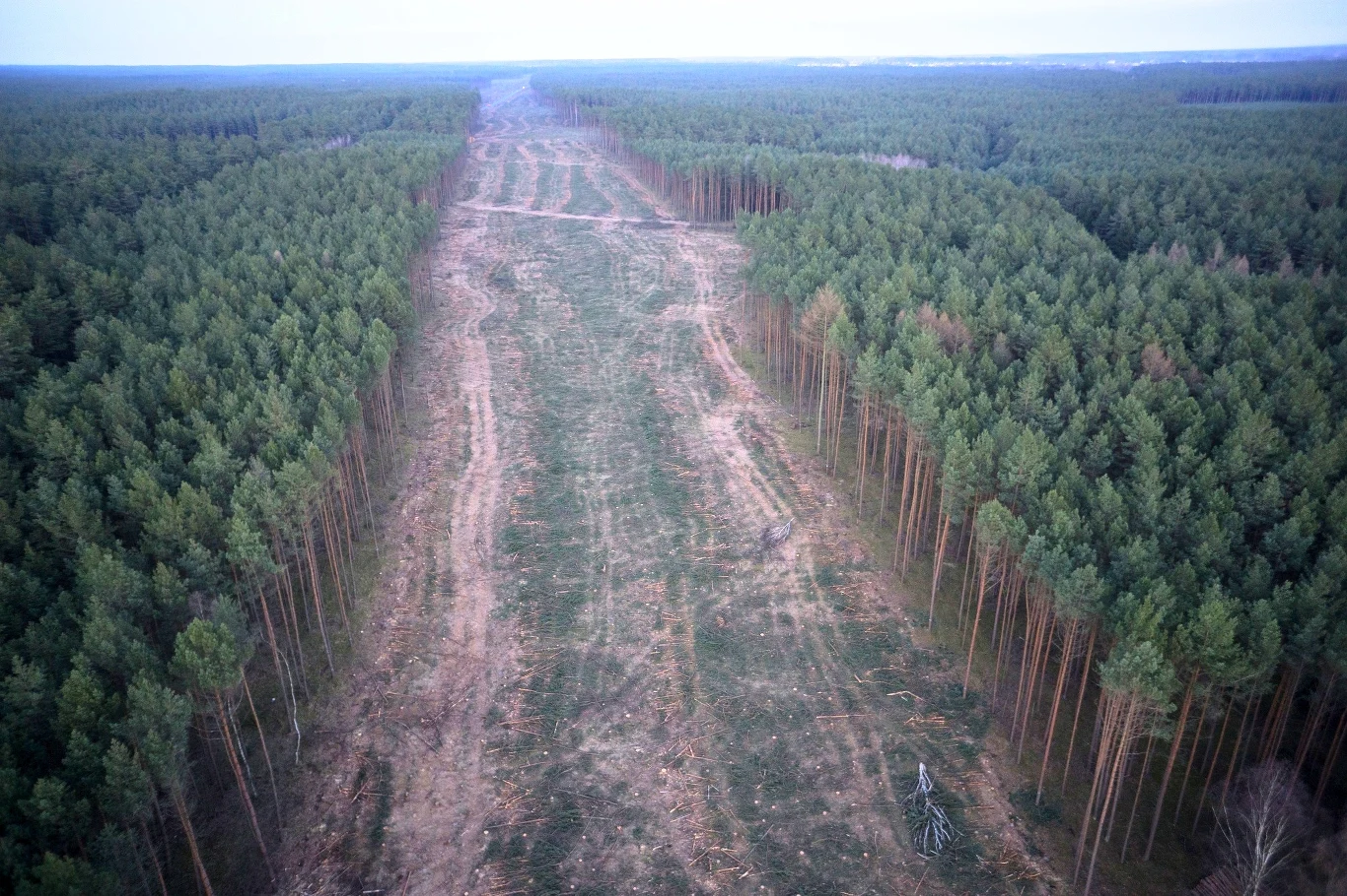 Okolice Bydgoszczy. Tędy pobiegnie droga S5 Okolice Bydgoszczy. Tędy pobiegnie droga S5