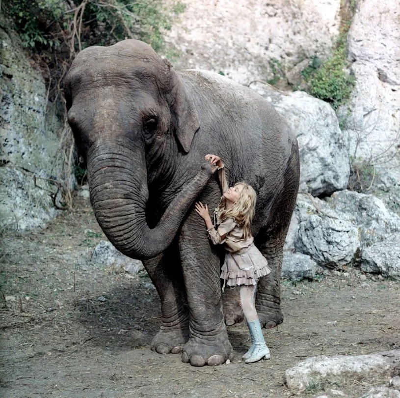 Mała Monika ze słonicą Tarą