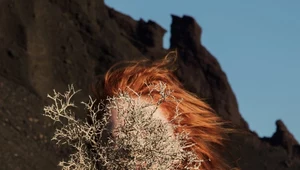 Recenzja ​Goldfrapp "Silver Eye": W najlepszym stylu