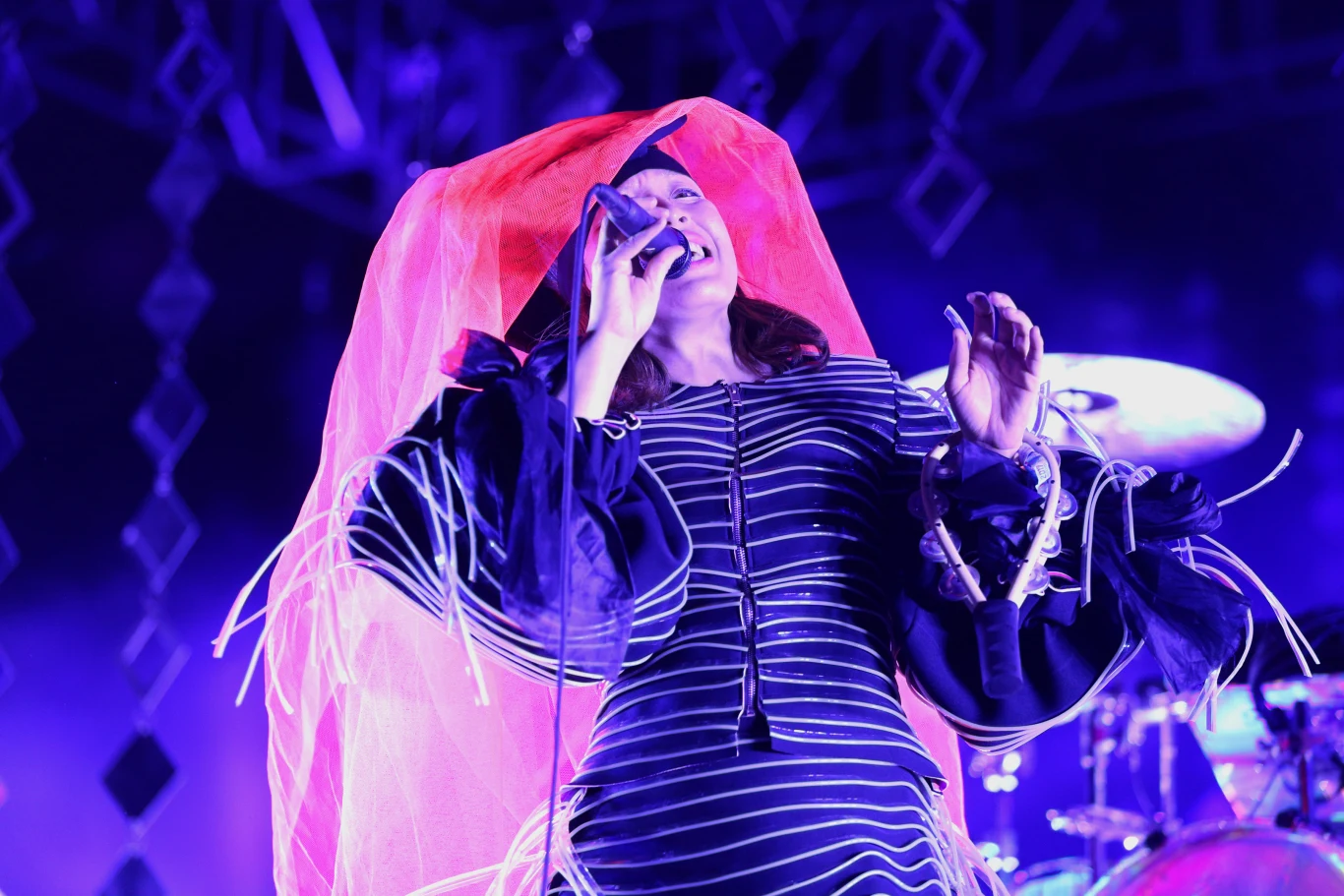 Little Dragon Little Dragon