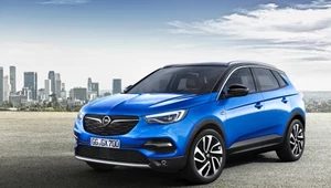 Opel Grandland X. Nowość!