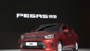 Kia Pegas i Kia K2 Cross