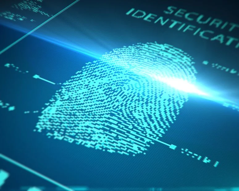 Czytnik linii papilarnych może znaleźć się także pod ekranami LCD Czytnik linii papilarnych może znaleźć się także pod ekranami LCD