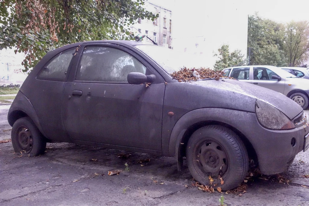 Ten Ford Ka wg CEPiK-u to auto w ciągłym użytkowaniu