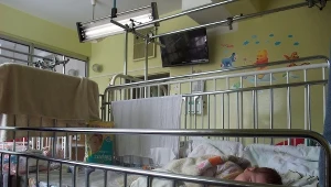 Zdjęcie ilustracyjne.