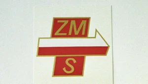 Według Władysława Gomułki Związek Młodzieży Socjalistycznej był "synem i współtowarzyszem walki" Polskiej Zjednoczonej Partii Robotniczej